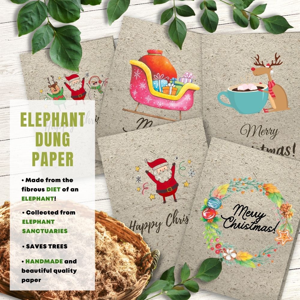 mixed pack of 5 greeting cards made with elephant poo