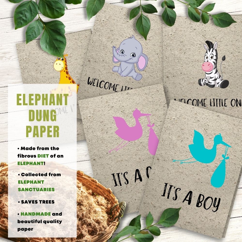 Mixed Pack of 5 New Baby Card made with elephant poo
