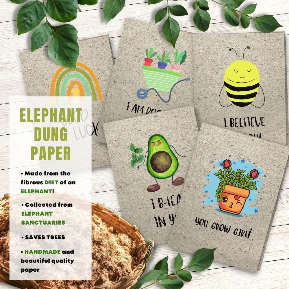 mixed pack of 5 good luck cards made with elephant poo