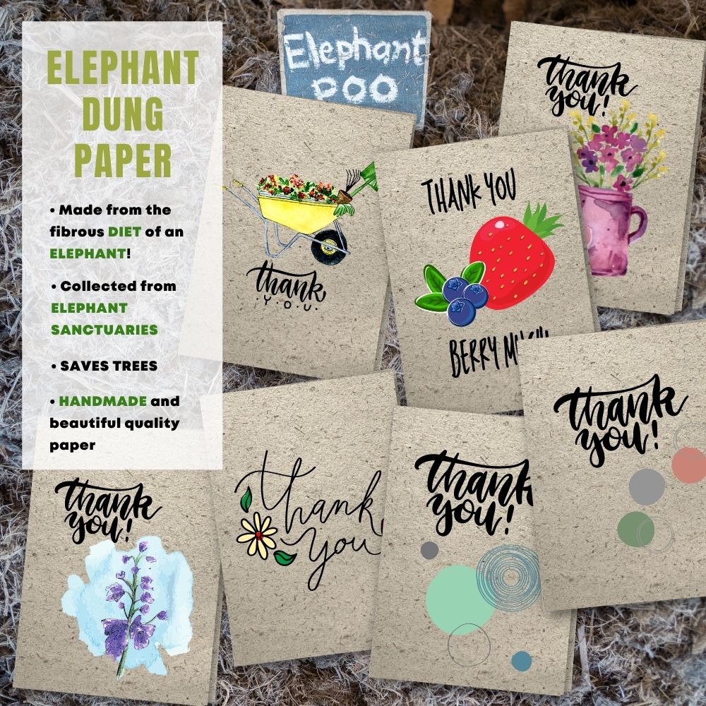 Mixed Pack of 8 Thank You Card made with elephant poo