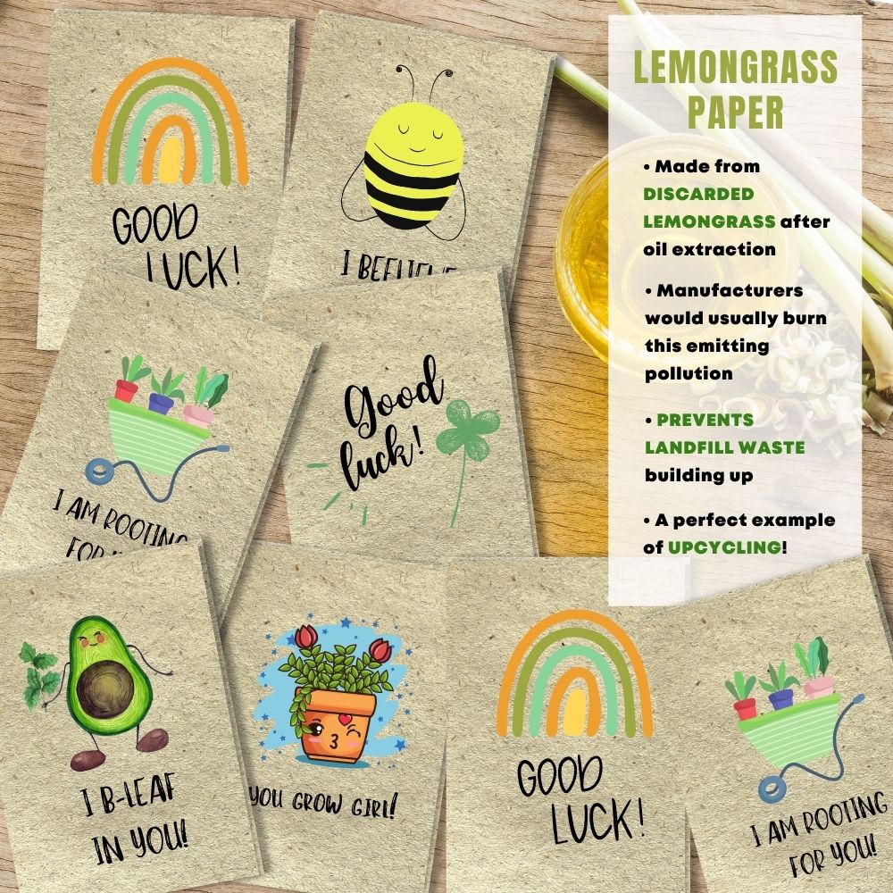 mixed pack of 8 good luck cards made with lemongrass paper