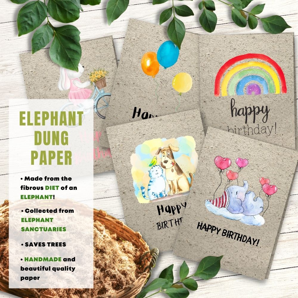 mixed pack of 5 children&#39;s birthday cards made with elephant poo