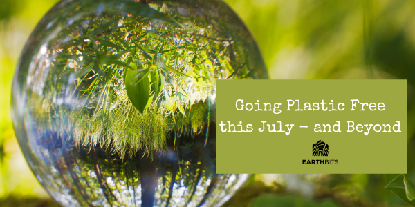 plastic free july guide