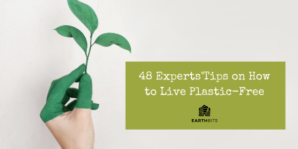 experts tips to go plastic free