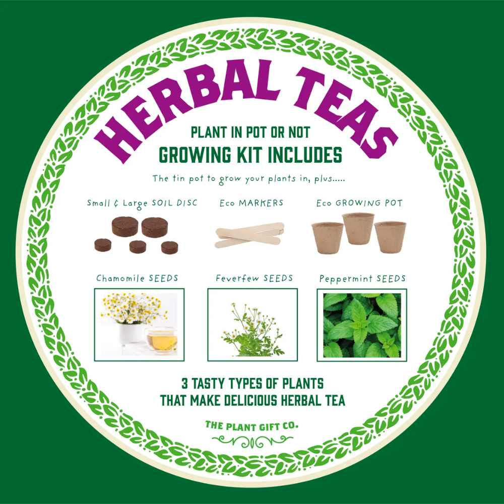 Grow Your Herbal Teas Pot, Herbal Teas Growing Kit, UK Made