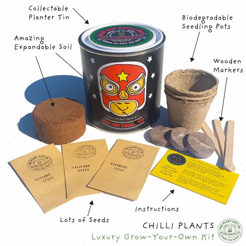 Grow Your Own Red Chilli Pot, Chilli Plant Growing Kit, UK Made