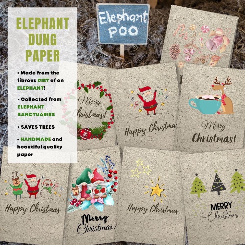 mixed pack of 8 greeting cards made with elephant poo