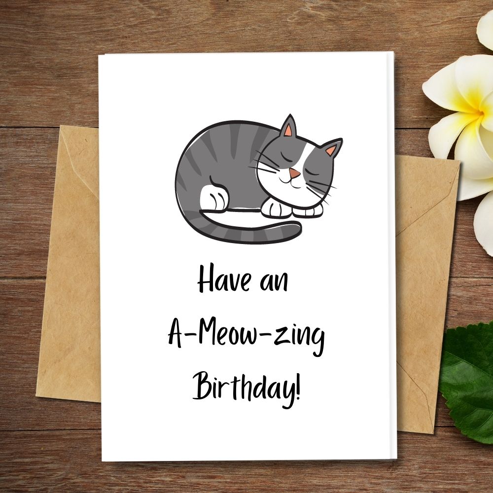 handmade cards, have an a-meow-zing birthday card, eco friendly