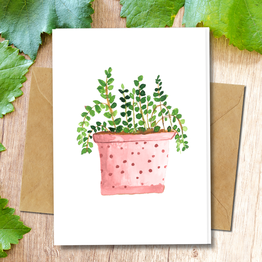 handmade greeting cards, eco friendly plant pot design card, recycled paper, seeded paper and more