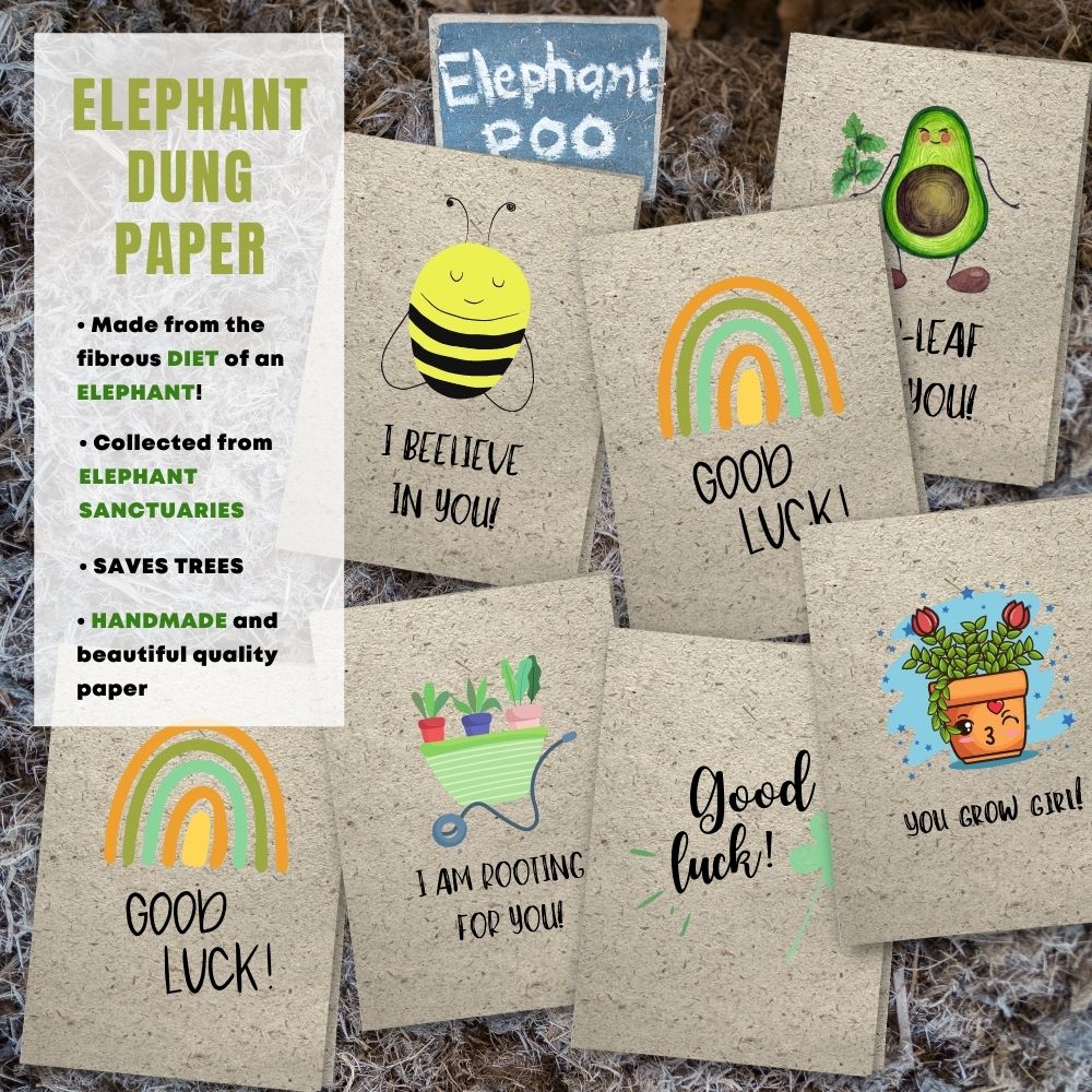 mixed pack of 8 good luck cards made with elephant poo