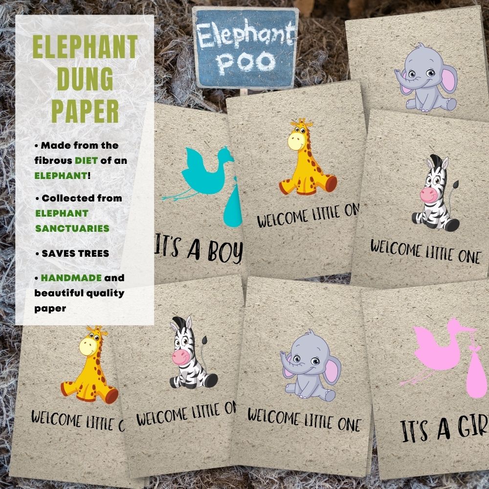 Mixed Pack of 8 New Baby Card made with elephant poo