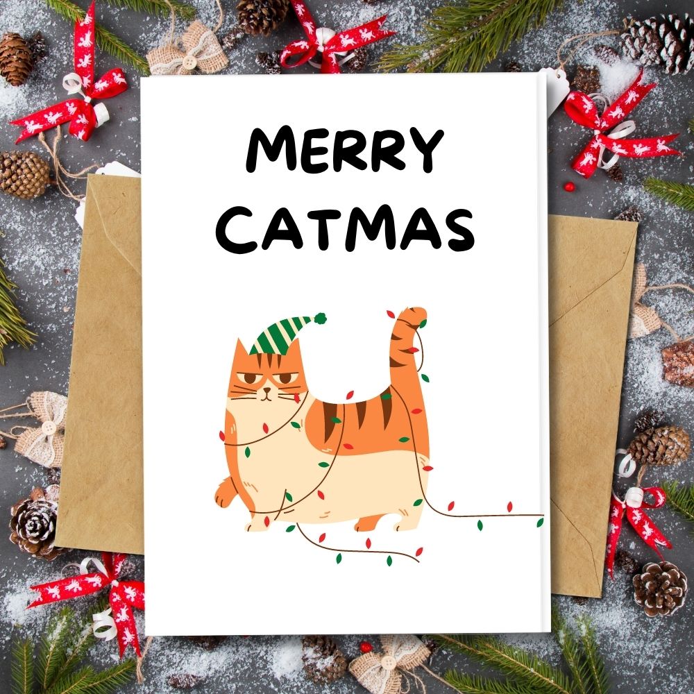 eco friendly handmade christmas cards, merry catmas cards in cat with christmas light decor