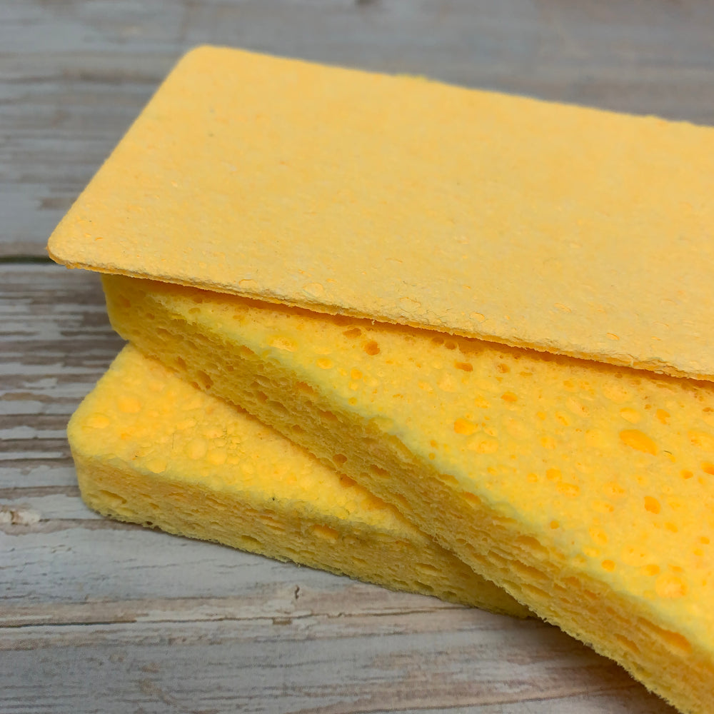 set of two cellulose yellow sponges one dehydrated and the other wet after it has increased size and volume