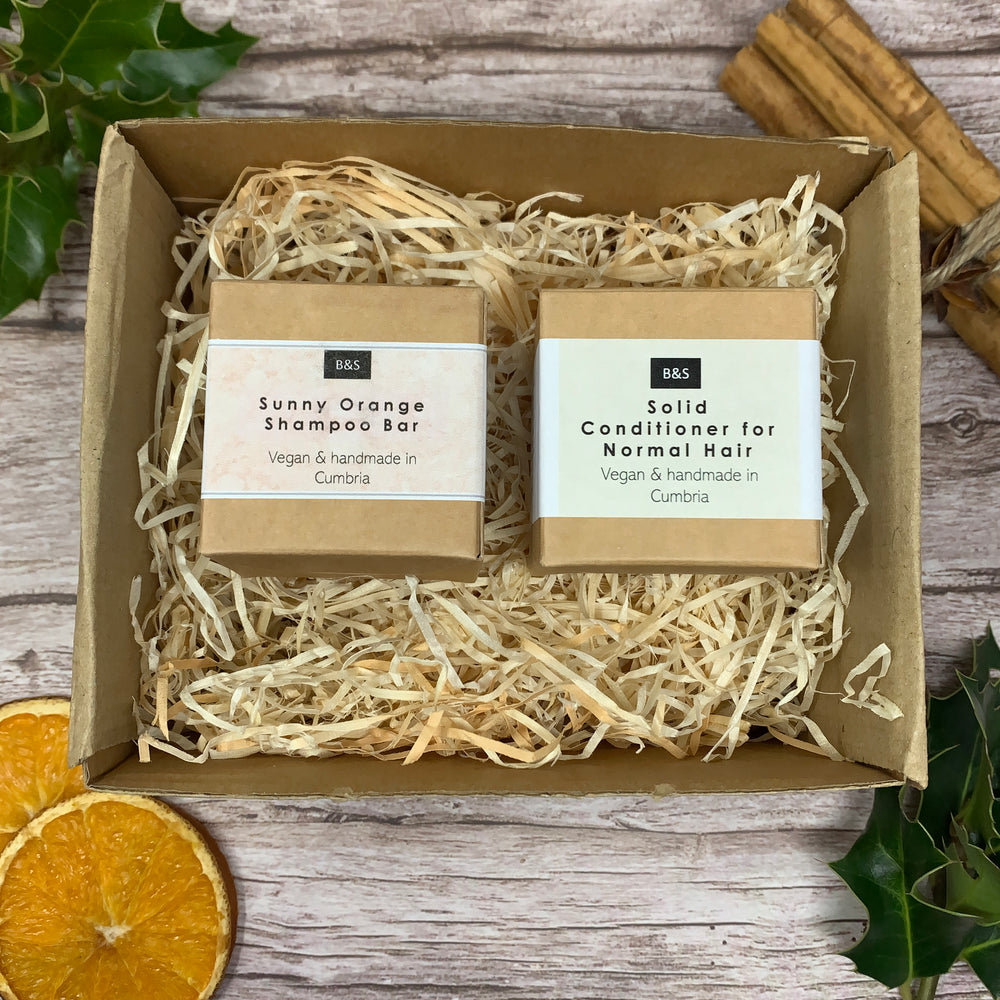 Shampoo and Conditioner Bar Gift Set