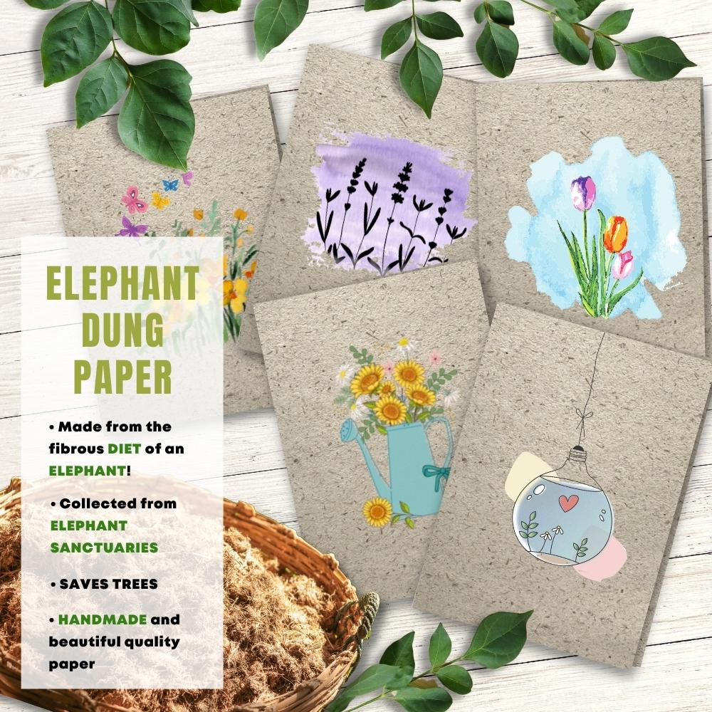 mixed pack of 5 greeting cards made with elephant poo