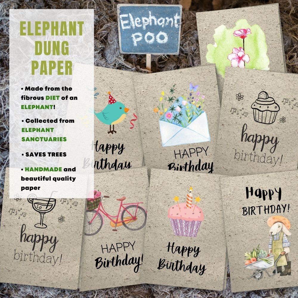 mixed pack of 8 birthday cards made with elephant poo