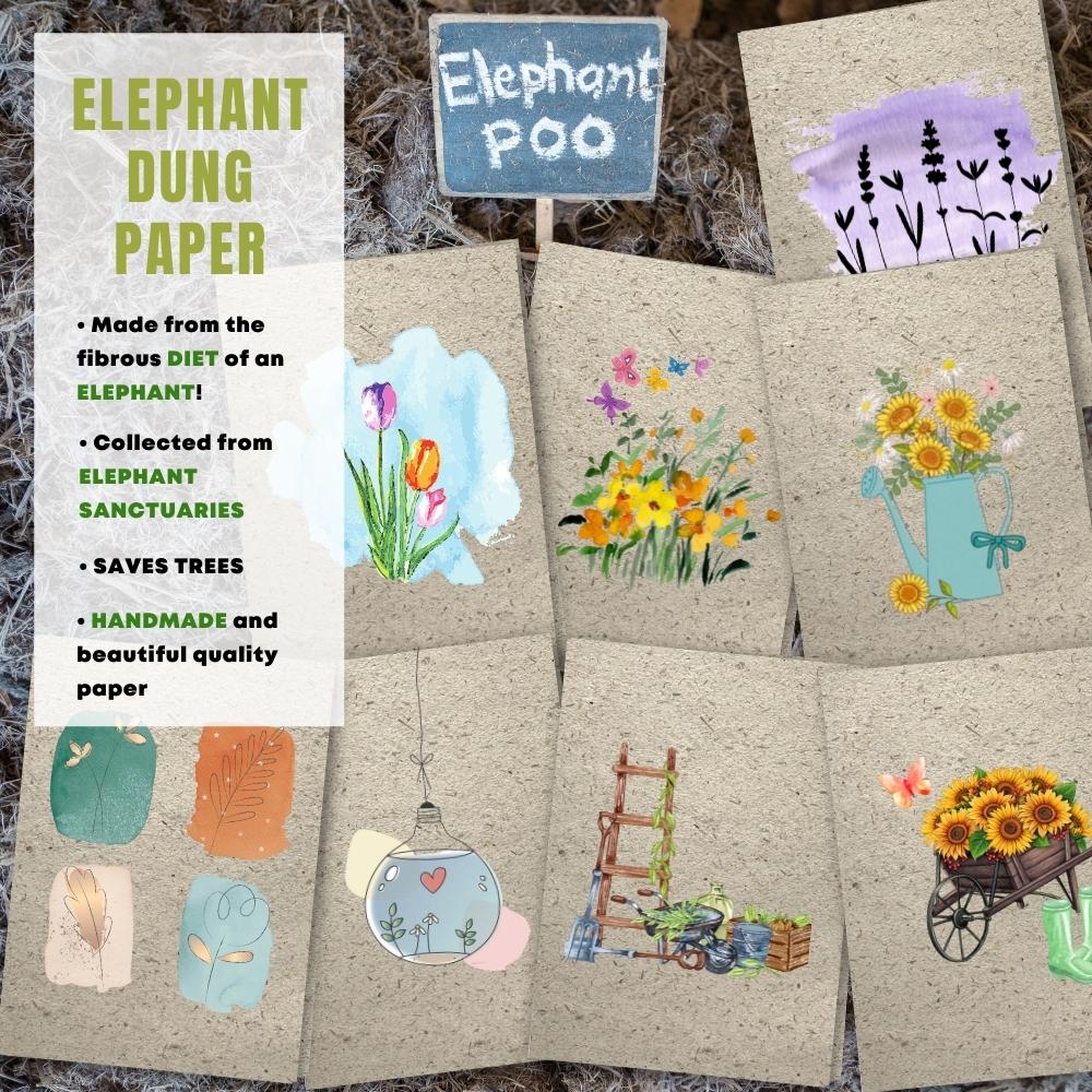 mixed pack of 8 greeting cards made with elephant poo