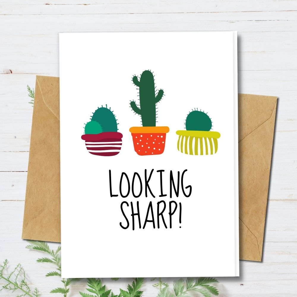 handmade greeting cards, colourful cactus looking sharp plant design, eco friendly