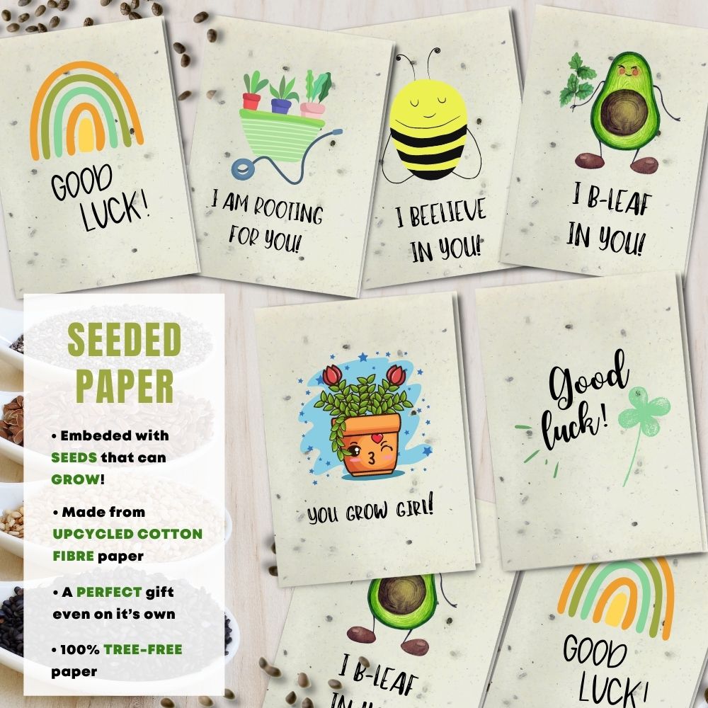 mixed pack of 8 good luck cards made with seeded paper